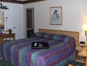 Knights & Motel
